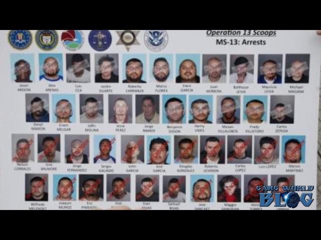 MS-13 Targeted in biggest Gang Raid in Los Angeles History