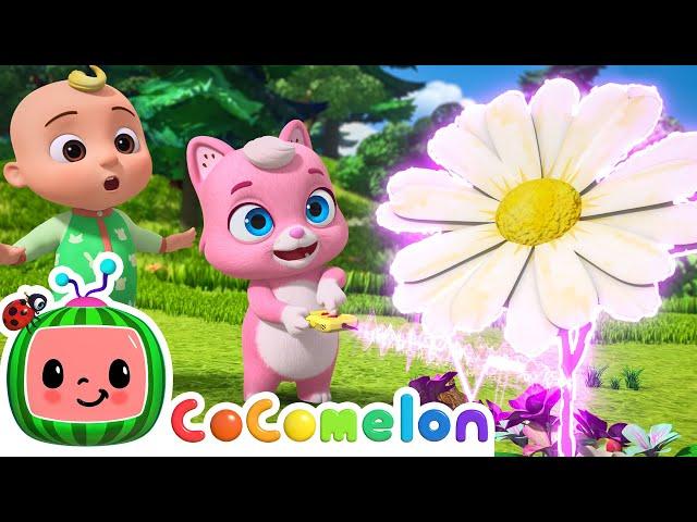 Big and Small | NEW 🪷 CoComelon Animal Time | Animals for Kids