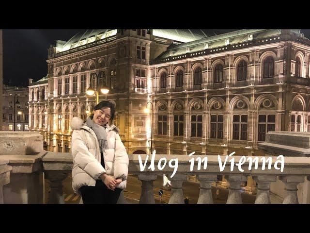 비엔나대학교 일상 VLOG in Vienna :: 빈대학 브이로그 :: 부산대 Vlog SAM 단기파견 프로그램 ::