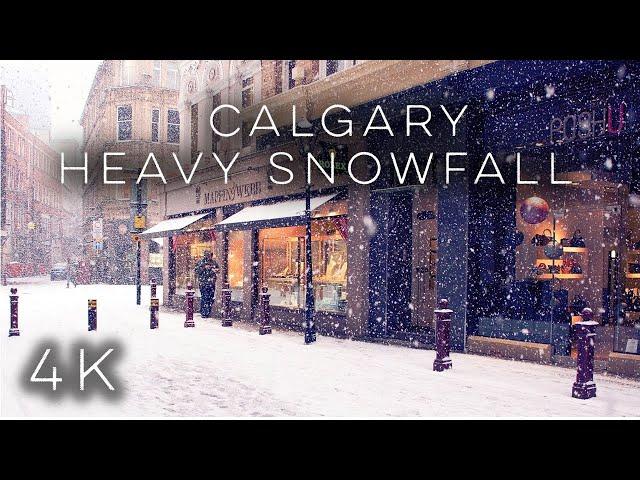 【4K】Calgary Heavy Snow Fall | Canada Winter Snow Walk | #snowstorm #snowfall #calgary #alberta