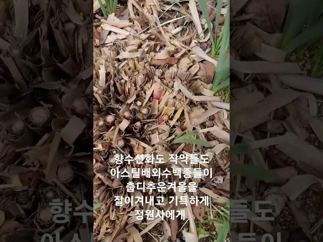 #타샤의정원251 봄 #아름다운정원만들기 #경기도동화정원카페
