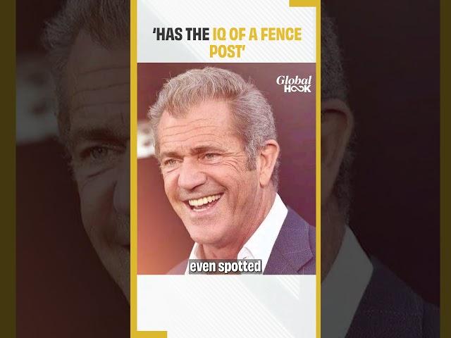 Mel Gibson says Kamala Harris has ‘IQ of a fence post!’ as he throws his weight behind Donald Trump!