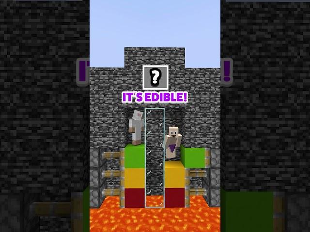 Can 2 Players GUESS the Minecraft Item?