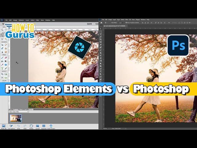 Photoshop Elements VS Adobe Photoshop - Which One is Better?