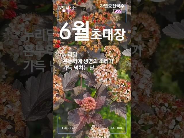 #6월의초대  #임영웅#tv어딜가든