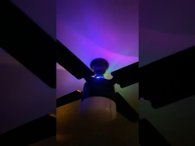 Ceiling fan in action