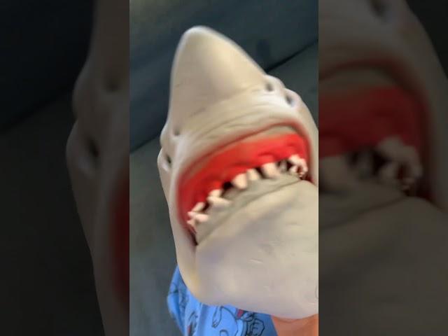 My delivery shark puppet is here