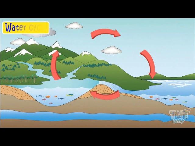 Parts of Water Cycle | Science | Grade-3,4 | Tutway |