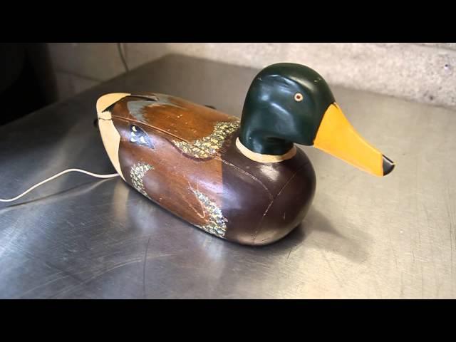 Duck Phone Ringing