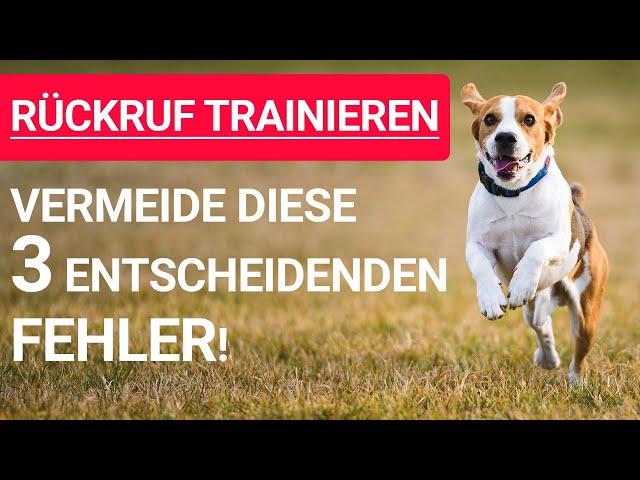  Stephanie Salostowitz ️Vermeide diese 3 entscheidenden Fehler beim Rückruftraining für Hunde ️