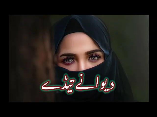 Dewany Tedy Holy Wady Hain (Slow and Reverb) saraiki song