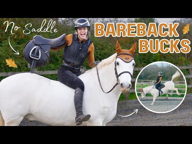 Bareback Bucking - No stirrup November - Cottage catch up! This Esme