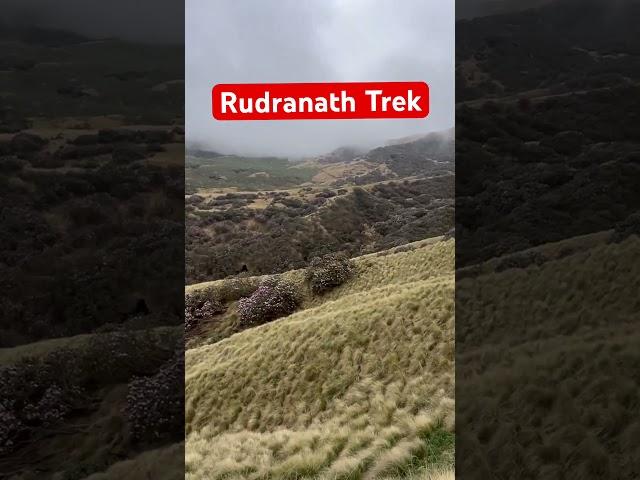 Rudranath trek | panchkedar baba rudranath #trek #bholenath
