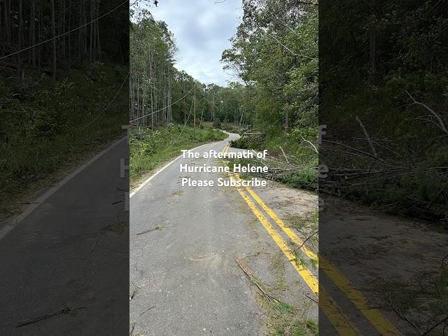 The aftermath of Hurricane Helene. #hurricane #helene #asheville #ashevillenc