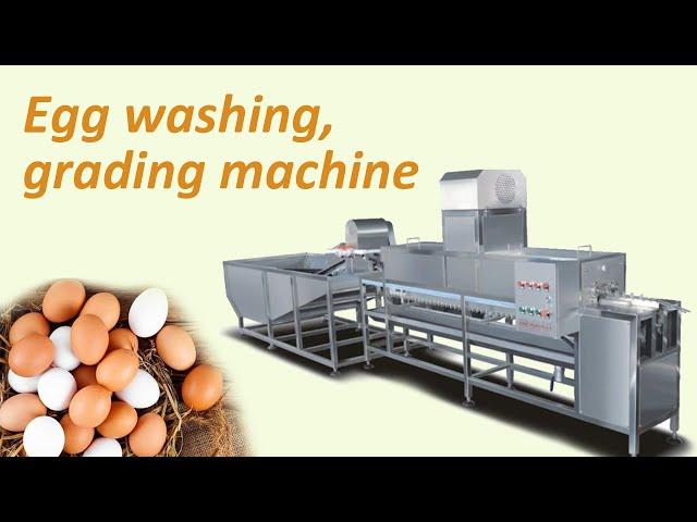 Chicken/duck/quail egg processing line with washing, drying, grading,candling, breaking machine