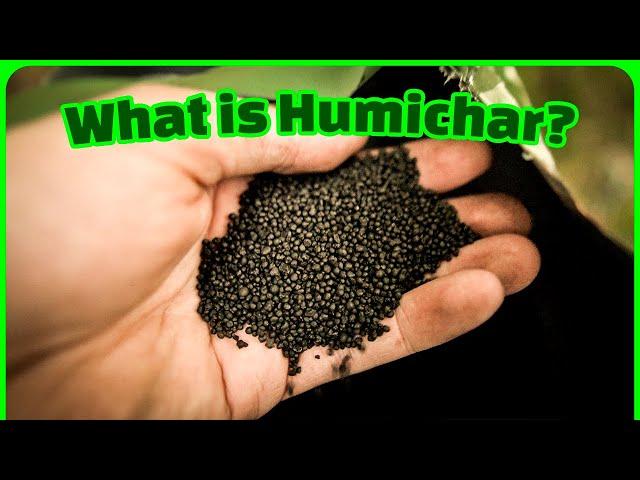 Humichar Demystified: From Biomass to Black Gold