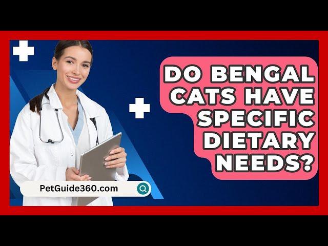 Do Bengal Cats Have Specific Dietary Needs? - PetGuide360.com