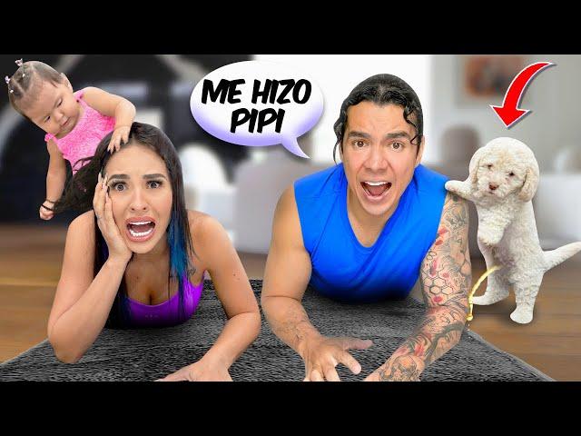 NUESTRO PRIMER DÍA CON EL NUEVO PERRITO BEBÉ EN CASA *No se llevan bien* 