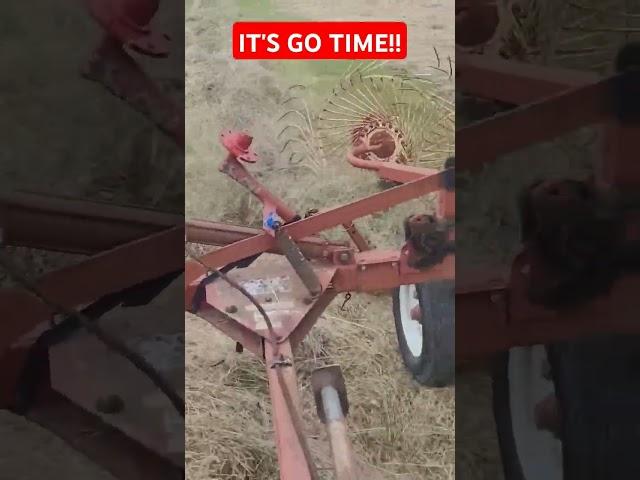 Raking and Baling!!