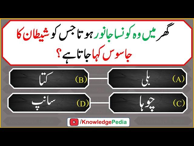 Ghar Main Konsa Janwar Shitan Ka Jasos Hota hai || Islamic Quiz # 989