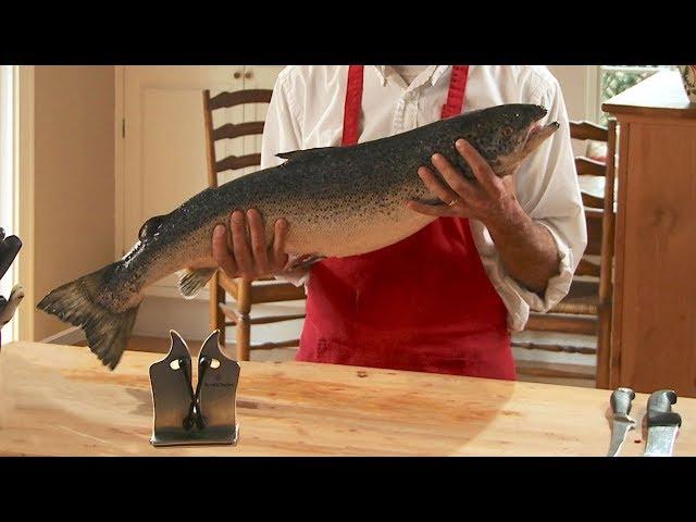 How to Fillet a Salmon at Home - Easy and Fast