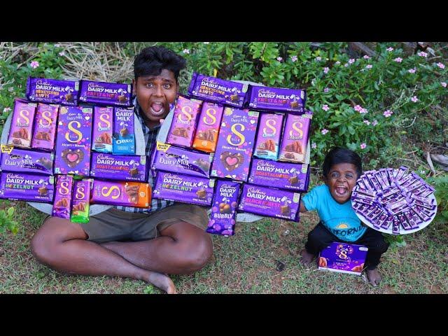 All Types Dairy Milk Chocolate Milk Shake Making|Yummy and Healthy Summer Drinks|Village Food Safari