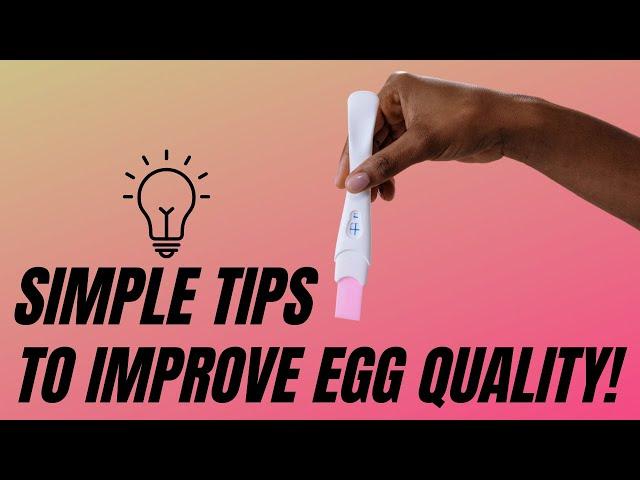 Simple Tips to Improve Egg Quality! {EXPERT ADVICE}