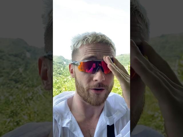 #vtrepal
