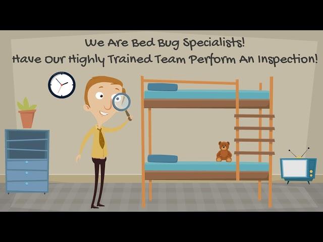 Bed Bug Exterminator NYC