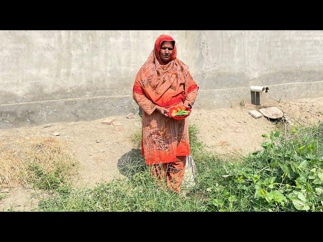 My evening routine in my home village life Punjab Pakistan