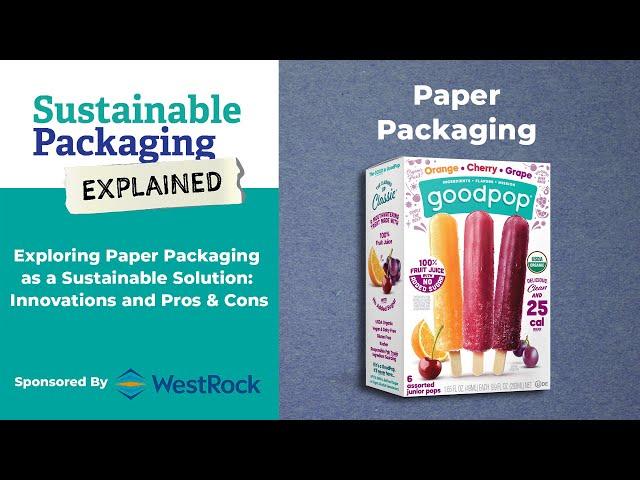 Exploring Paper Packaging as a Sustainable Solution: Innovations and Pros & Cons