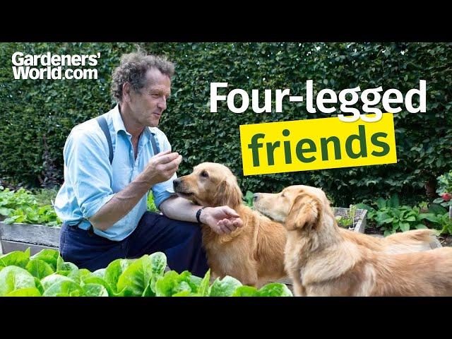 Monty Don on Nigel, Nell and other four-legged friends