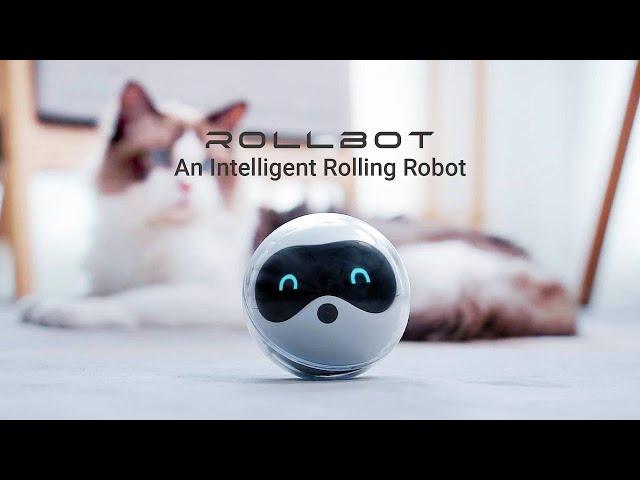 Rollbot