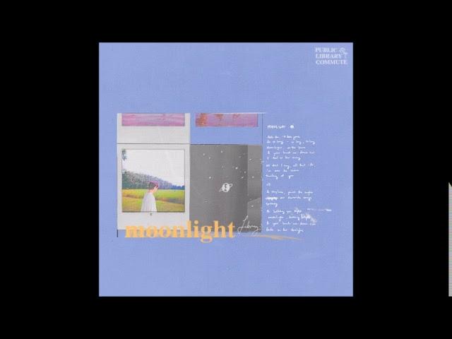 Public Library Commute - Moonlight (one hour extended)