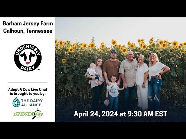 Barham Jersey Farm - Adopt A Cow Live Chat 2024