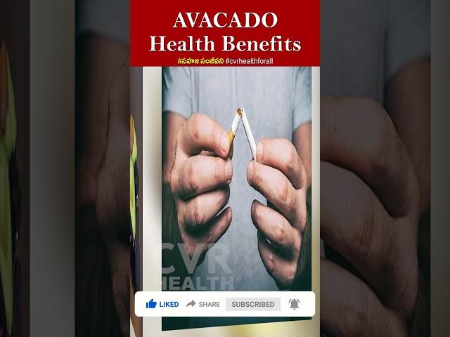 Health Benefits Of Avacado | #sahajasanjeevani | #cvrhealthforall | #healthtips | #cvrhealth