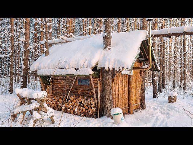 Spent the night in a fabulous log cabin. Alone with the wild.