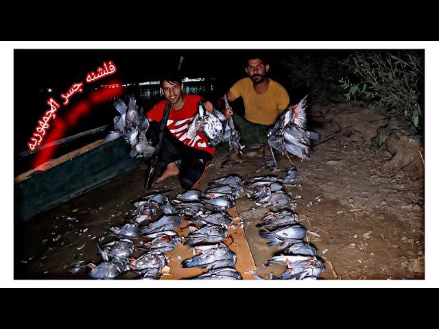 الف زركي وجيس طرشي اشبع ونسه /المغامر ابن العراق