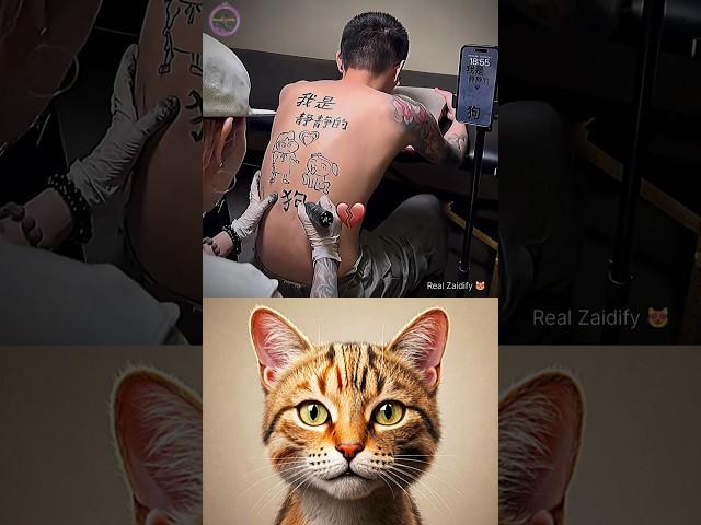 give this video title (warning answer) #cat #meme #dance  #trending