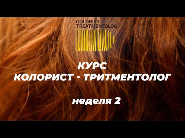 Курс КОЛОРИСТ-ТРИТМЕНТОЛОГ. 2 неделя обучения. Видеоотчет.