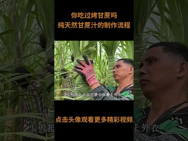 你吃过烤甘蔗吗？纯天然的甘蔗汁原来是这么做出来的 #甘蔗 #甘蔗汁