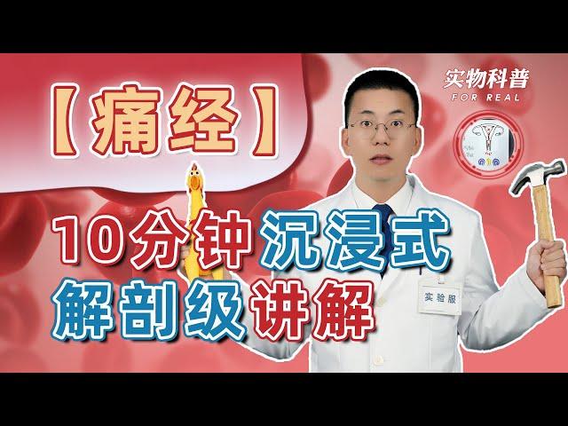 【痛经】10分钟沉浸式解剖级讲解 | 月经流出道 | 形成原因 | 疼痛等级 | 缓解方法