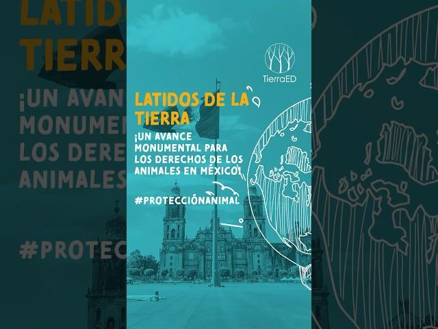 ¡Un Giro Histórico! México Constitucionaliza la #protecciónanimal #derechosanimales