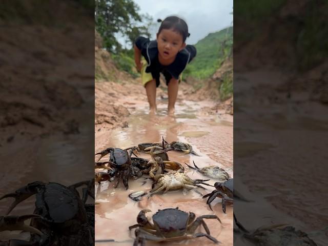 Survival Skills: single mom with a lot of crabsin forest #singlemom #survival #camping #outdoors