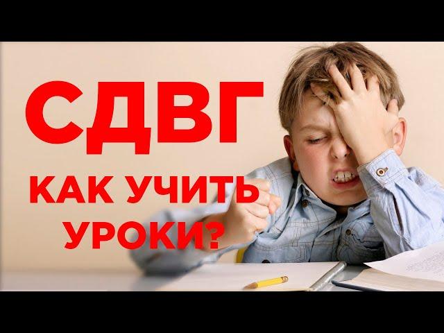 СДВГ: как учить уроки с ребенком? Обучение гиперактивных детей в школе и дома. Советы педагога СДВГ