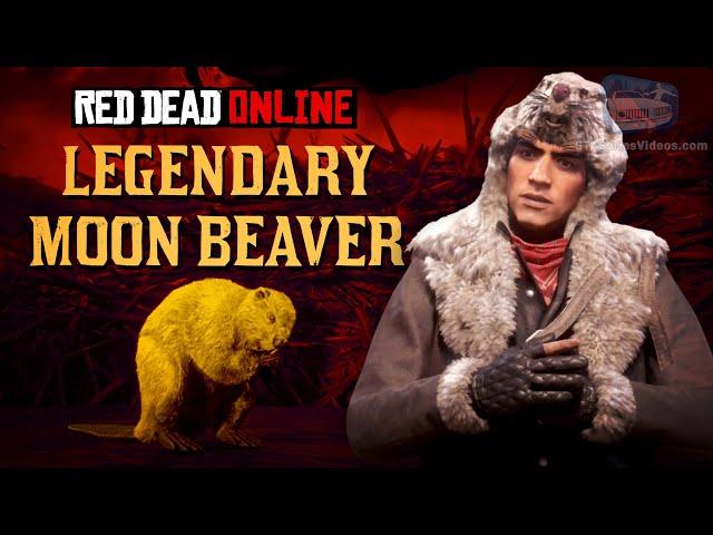 Red Dead Online - Legendary Moon Beaver Location [Animal Field Guide]