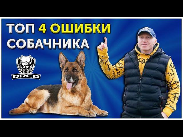 Топ 4 Ошибки собачника | Самые важные команды с собакой | Дрессировка собаки | Кинолог о наболевшем