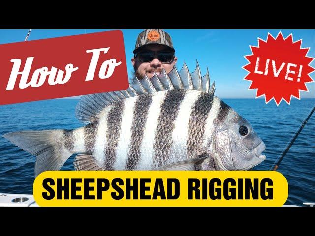 How to Rig for Sheepshead Fishing - INSHORE OR OFFSHORE