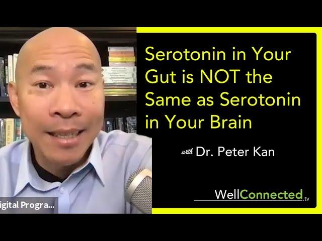 Why Serotonin in your Gut Doesn't Effect Your Brain with Dr.  Peter Kan