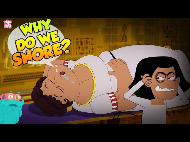 Why Do We Snore? | Sleep Apnea | How To Stop Snoring? | The Dr Binocs Show | Peekaboo Kidz